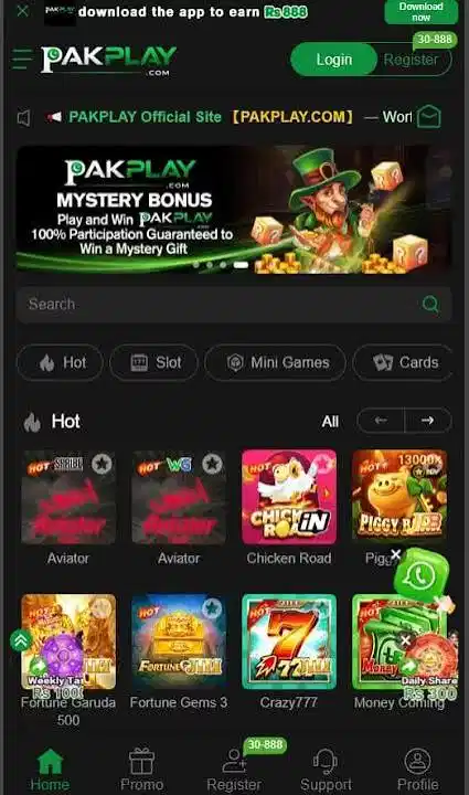 PakPlay game